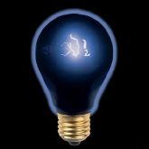 RTD-1004 - 75w Black Light Bulb