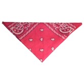 RTD-1015 - Pink Bandanna