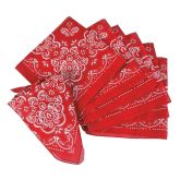 RTD-1016 - Small Red Bandanna