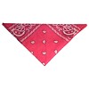 RTD-1015 - Pink Paisley Bandana