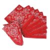RTD-1016 - Small Red Bandanna