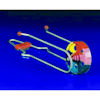RTD-1123 - Magnetic Rainbow Spinning Wheels