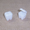 RTD-1256 - Baby Teeth Holders - Tooth Saver for Children