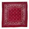 RTD-1347 - Maroon Bandanna