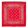 RTD-1358 - Red Paisley Bandana