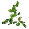 RTD-1485 - Jungle Vine Garland - 6 foot vine