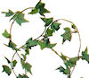 RTD-1648 - Ivy Garland - 12 foot Vine