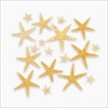 RTD-2082 - 30-piece Box of Assorted Natural Starfish