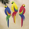 RTD-2089 - Foam Jumbo Pirate Luau Parrots