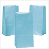 RTD-2317 - Light Blue Paper Treat Bags