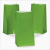 RTD-2323 - Green Paper Treat Bags