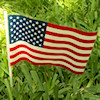 RTD-2401 - Small Plastic American Flag